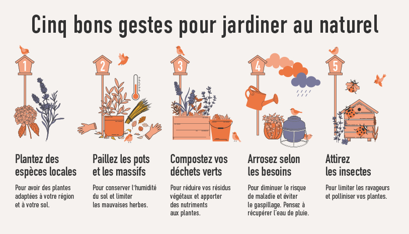 jardinage