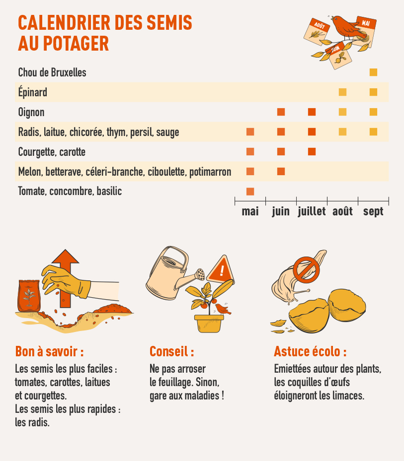 bien vivre potager infographie