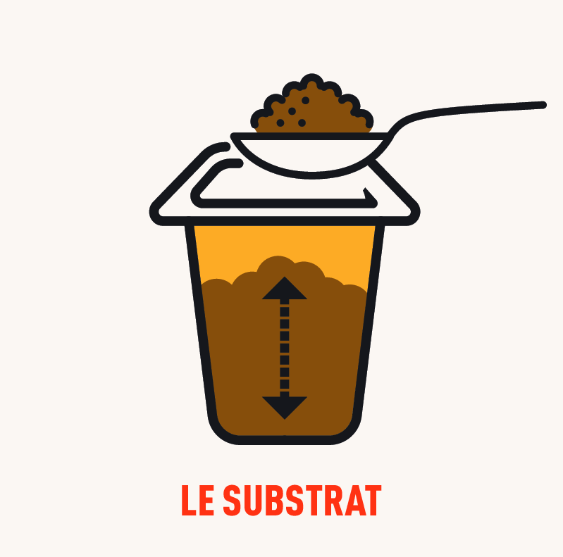 le substrat