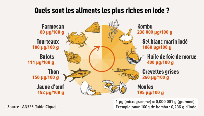 Les aliments riches en iode