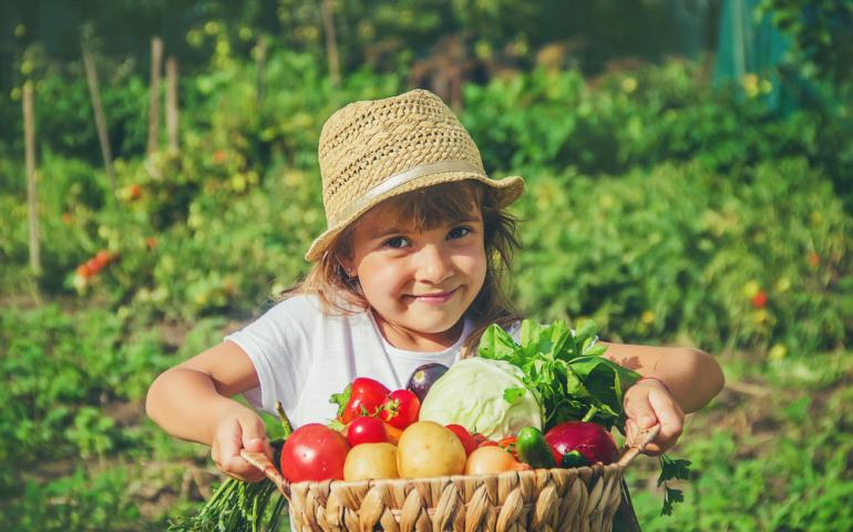 À vos potagers !